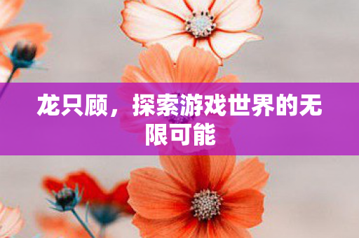 探索游戏世界的无限可能图片