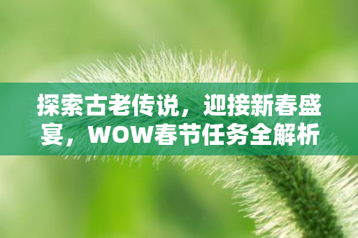WOW春节任务全解析图片