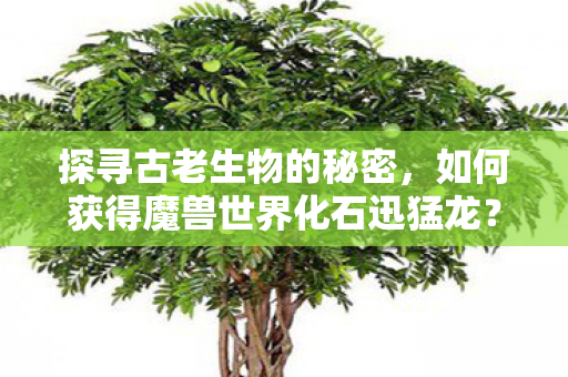 如何获得魔兽世界化石迅猛龙图片