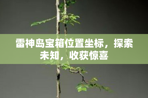 雷神岛宝箱位置坐标图片