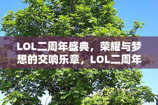LOL二周年盛典,荣耀与梦想的交响乐章,LOL二周年盛典,荣耀与梦想的交响乐章 LOL二周年盛典,荣耀与梦想的交响乐章,LOL二周年盛典,荣耀与梦想的交响乐章