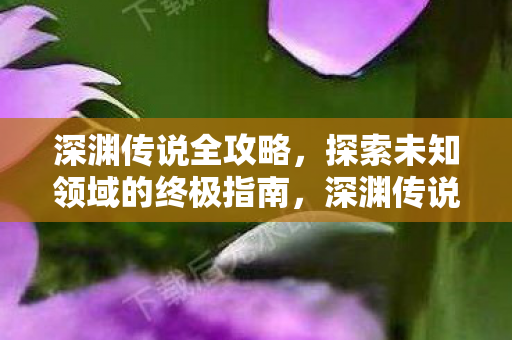 探索未知领域的终极指南图片