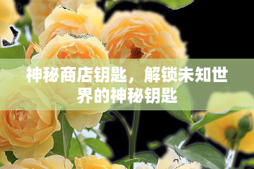 解锁未知世界的神秘钥匙图片