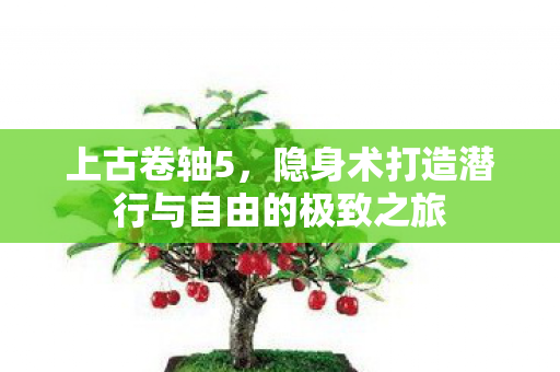 隐身术打造潜行与自由的极致之旅图片