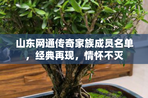 山东网通传奇家族成员名单图片