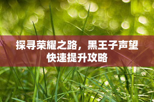黑王子声望快速提升攻略图片