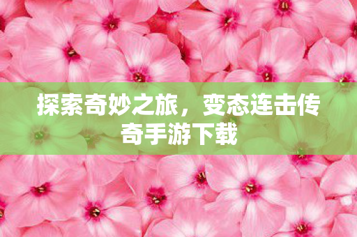 变态连击传奇手游下载图片