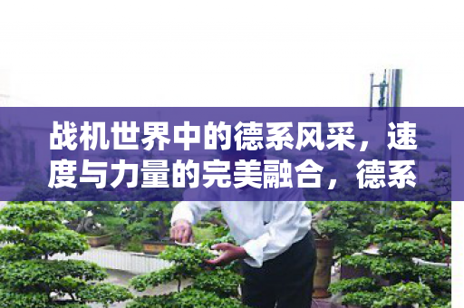 战机世界中的德系风采图片