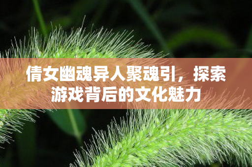 探索游戏背后的文化魅力图片