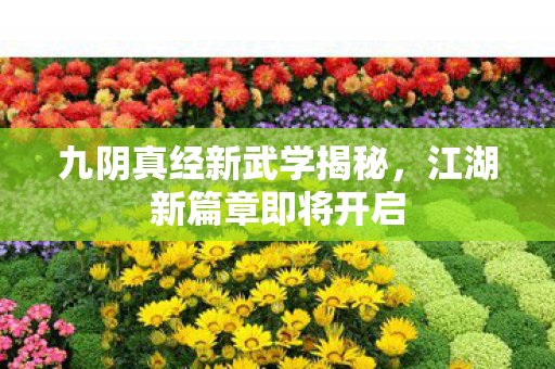 九阴真经新武学揭秘图片