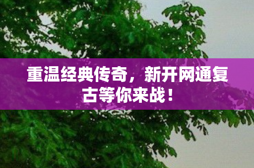 新开网通复古等你来战图片