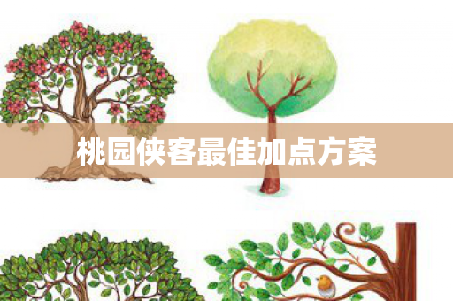 桃园侠客最佳加点方案图片