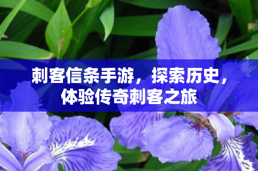体验传奇刺客之旅图片