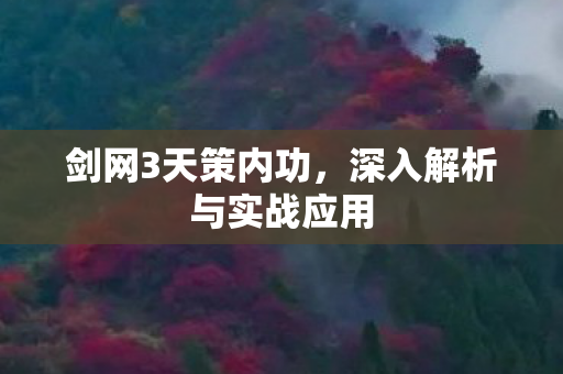 深入解析与实战应用图片