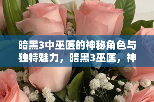 暗黑3中巫医的神秘角色与独特魅力图片