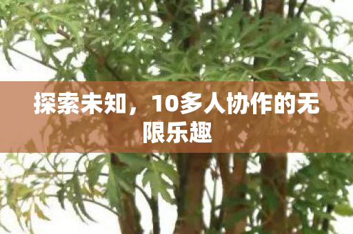 10多人协作的无限乐趣图片