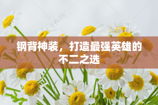 打造最强英雄的不二之选图片