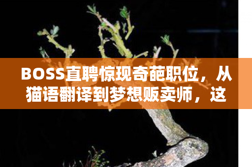 BOSS直聘惊现奇葩职位图片