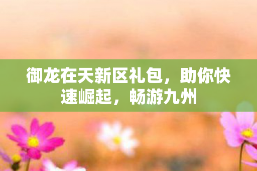 御龙在天新区礼包图片