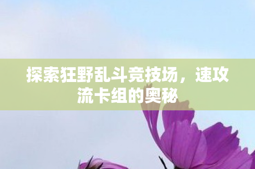 探索狂野乱斗竞技场图片