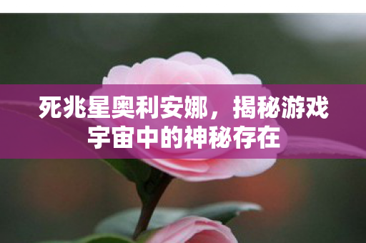 揭秘游戏宇宙中的神秘存在图片