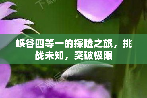 峡谷四等一的探险之旅图片