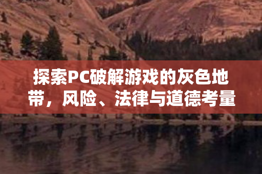 探索PC破解游戏的灰色地带图片