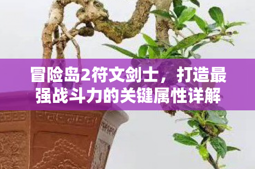 打造最强战斗力的关键属性详解图片