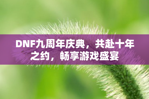 DNF九周年庆典图片