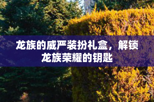 龙族的威严装扮礼盒图片