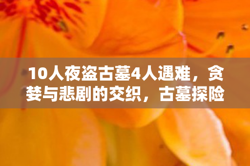 10人夜盗古墓4人遇难图片