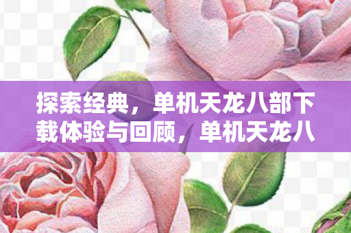 单机天龙八部下载体验与回顾图片