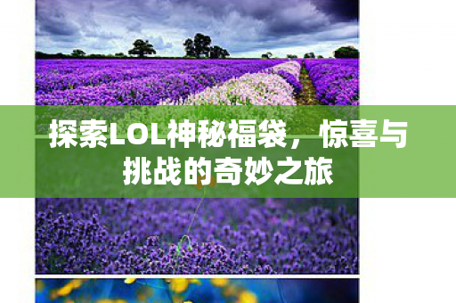 惊喜与挑战的奇妙之旅图片
