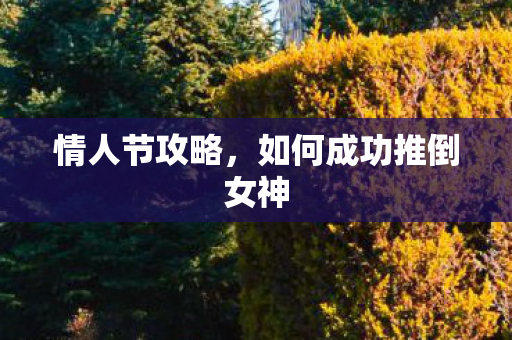 如何成功推倒女神图片