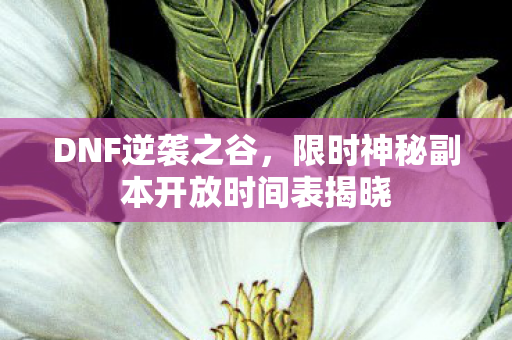 限时神秘副本开放时间表揭晓图片