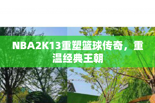 NBA2K13重塑篮球传奇图片