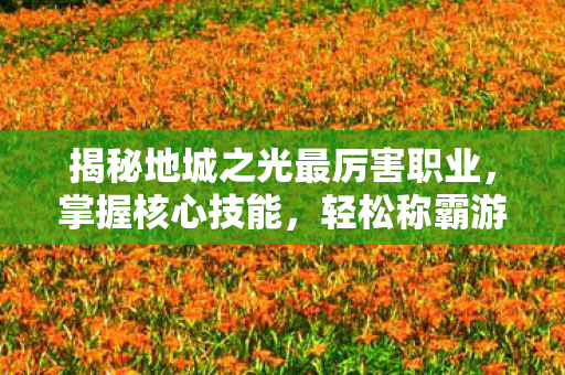 揭秘地城之光最厉害职业图片