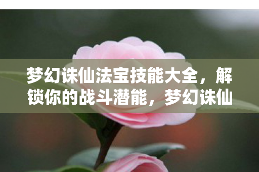 梦幻诛仙法宝技能全解析图片