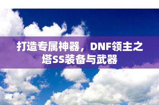 DNF领主之塔SS装备与武器图片