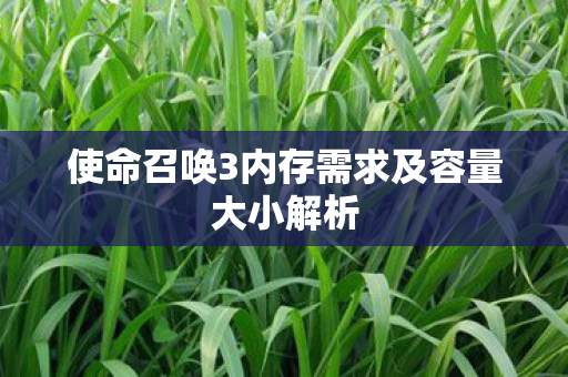 使命召唤3内存需求及容量大小解析图片
