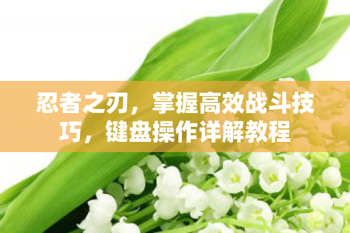 掌握高效战斗技巧图片