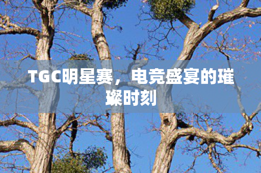 电竞盛宴的璀璨时刻图片