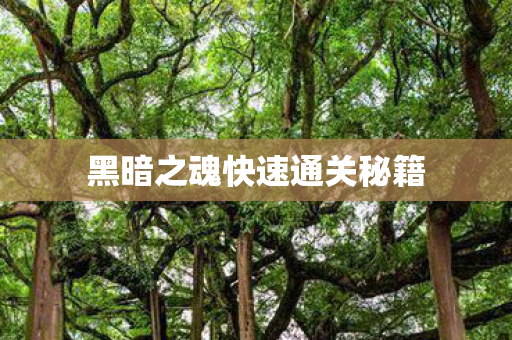 黑暗之魂快速通关秘籍图片
