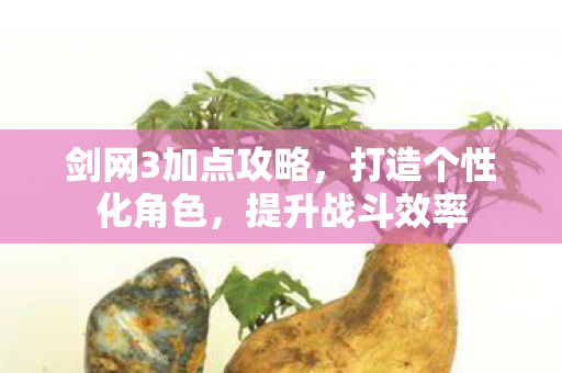 剑网3加点攻略图片