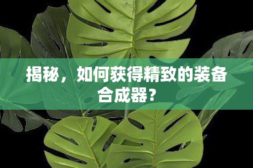 如何获得精致的装备合成器图片