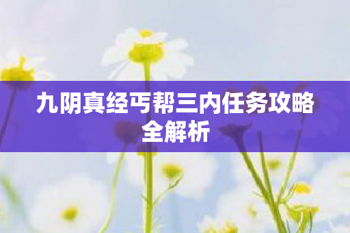 九阴真经丐帮三内任务攻略全解析图片