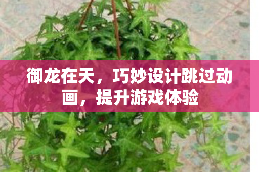 巧妙设计跳过动画图片