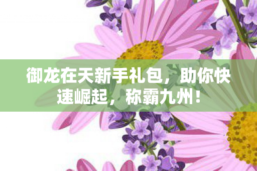 御龙在天新手礼包图片