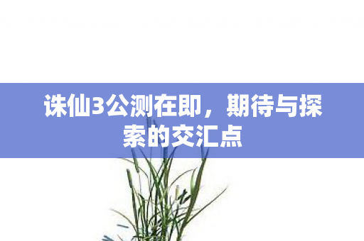 期待与探索的交汇点图片