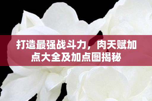 肉天赋加点大全及加点图揭秘图片